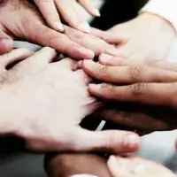 Hands